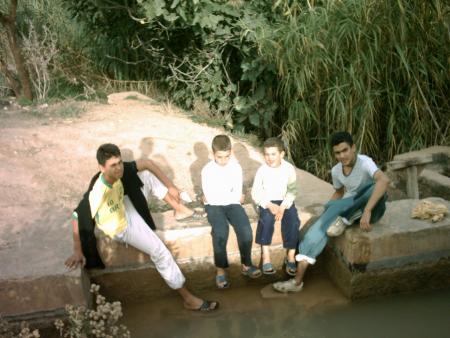 les  amis
