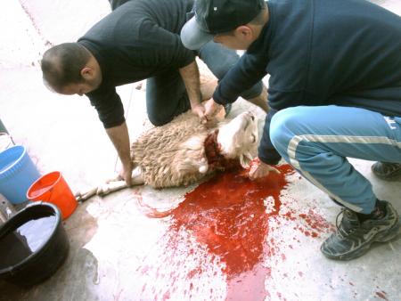 c le fete de 3id adha dane maroc